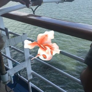 Meet your Posher, Kimberly